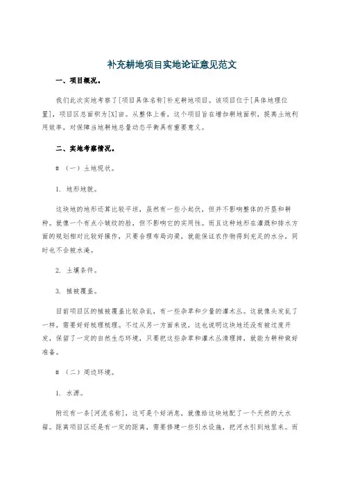 补充耕地项目实地论证意见范文