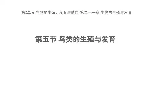 苏教版八年级生物下册第8单元第21章 第五节 鸟类的生殖与发育  课件