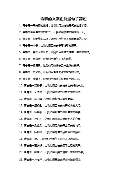 青春的文案正能量句子简短
