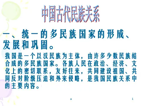 统一的多民族国家的形成发展和巩固