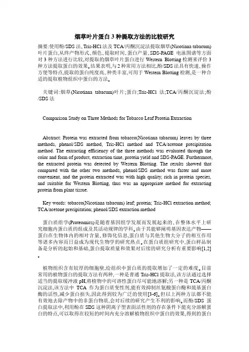 烟草叶片蛋白3种提取方法的比较研究