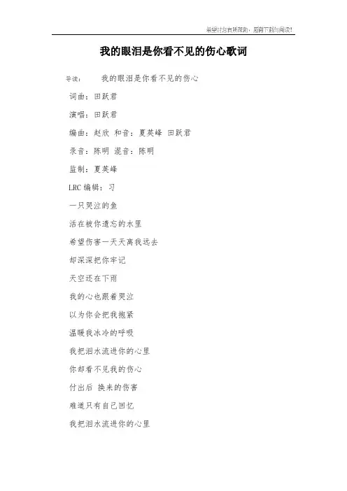 我的眼泪是你看不见的伤心歌词