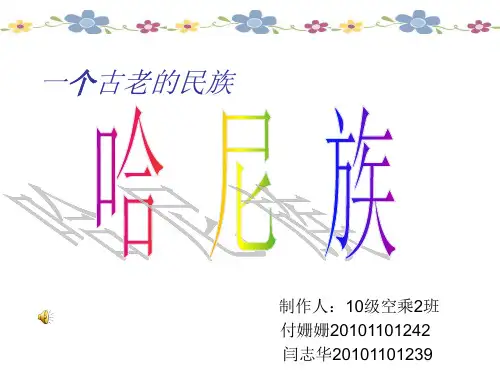 少数民族
