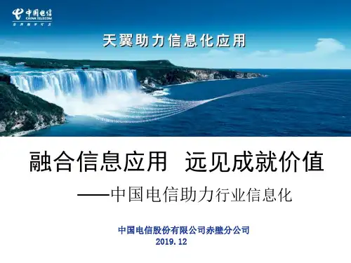 中国电信湖北分公司业务介绍(政企)精品文档25页