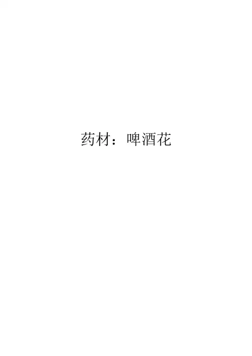 药材：啤酒花