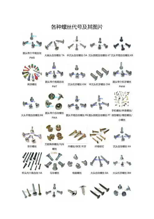 各种螺丝代号及其图片