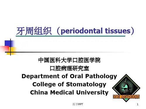 《口腔组织病理学》PPT课件