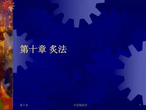第10章炙法1模板