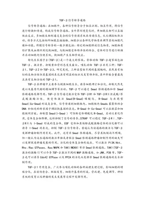 TGF-β信号转导通路
