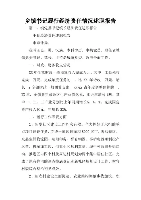 乡镇书记履行经济责任情况述职报告