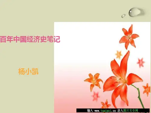 杨小凯 百年中国经济史笔记 PPT