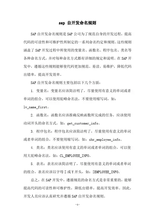 sap 自开发命名规则