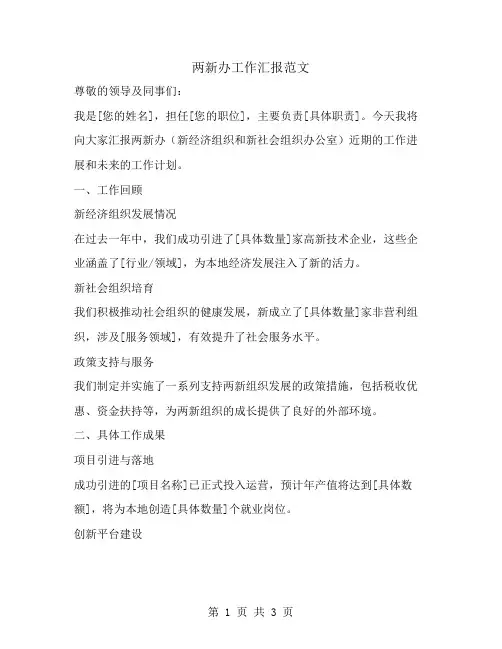 两新办工作汇报范文
