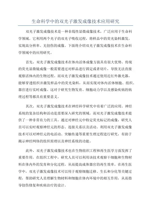 生命科学中的双光子激发成像技术应用研究