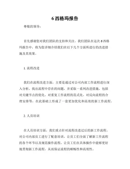 6西格玛报告