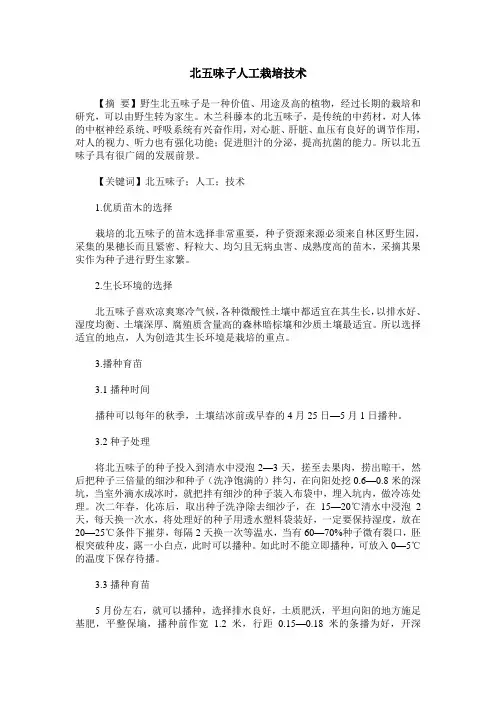 北五味子人工栽培技术