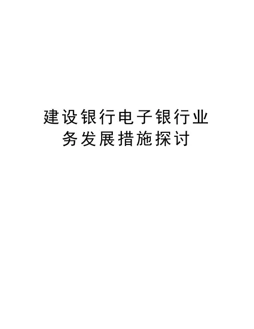 建设银行电子银行业务发展措施探讨教程文件