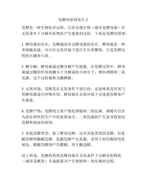 发酵的原理是什么