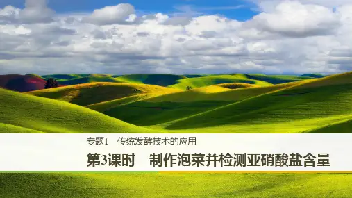 高二人教版生物选修一课件：1.3 制作泡菜并检测亚硝酸盐含量
