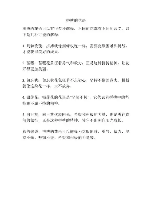 拼搏的花语