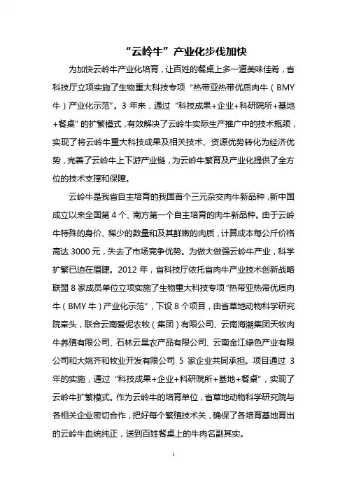 “云岭牛”产业化步伐加快