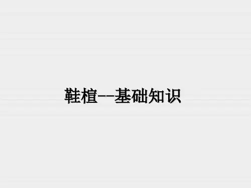 鞋楦知识 -文件