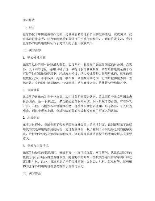 张家界地质地貌实习报告