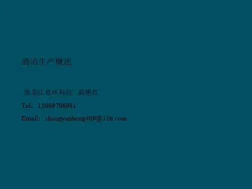 CP国家清洁生产培训(概述)