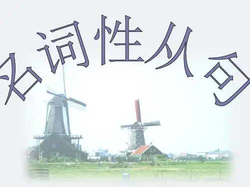 高考英语复习 名词性从句五大常考考点及常见错误 
