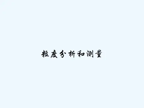 粒度分析和测量-PPT