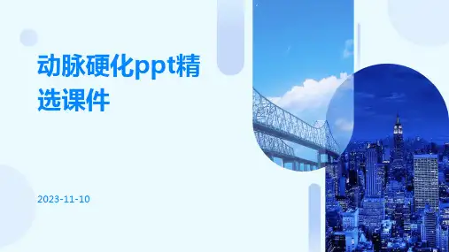 动脉硬化PPT精选课件
