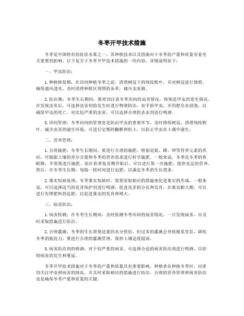 冬枣开甲技术措施