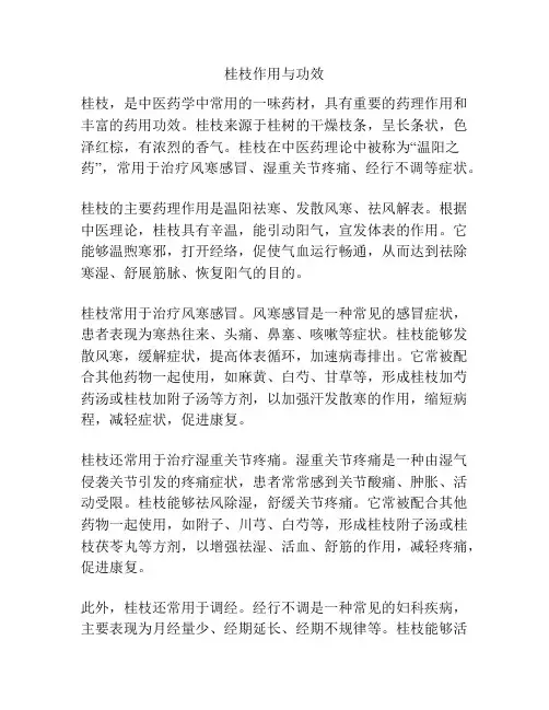 桂枝作用与功效