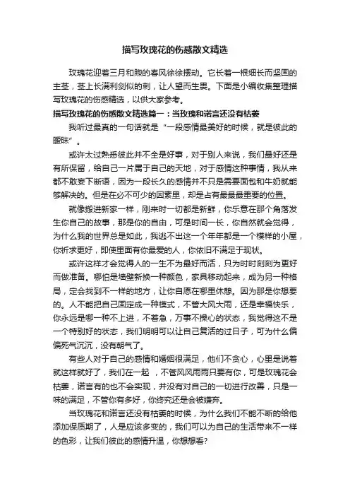 描写玫瑰花的伤感散文精选