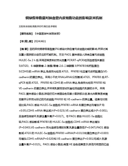 铜绿假单胞菌对肺血管内皮细胞功能的影响及其机制