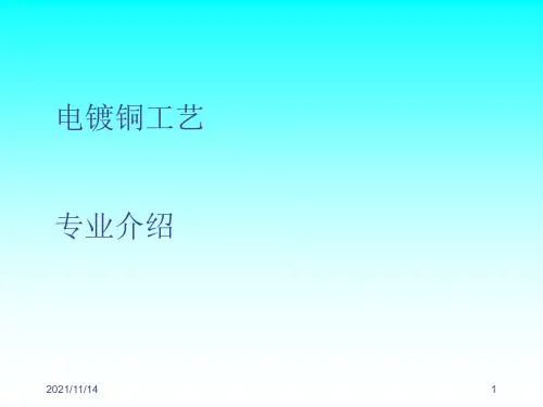 电镀铜工艺-专业介绍
