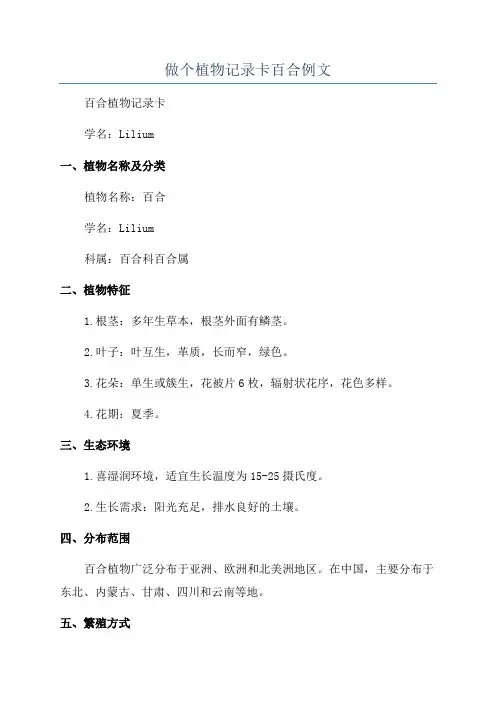 做个植物记录卡百合例文