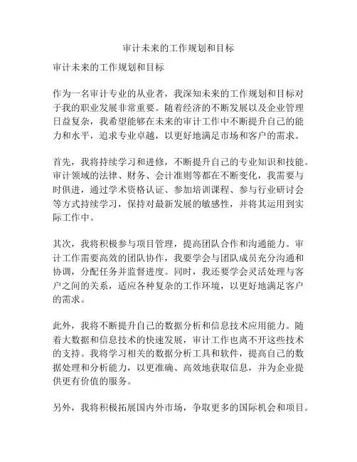 审计未来的工作规划和目标