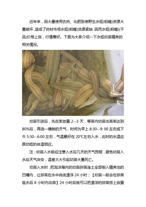 水蛭幼苗精养