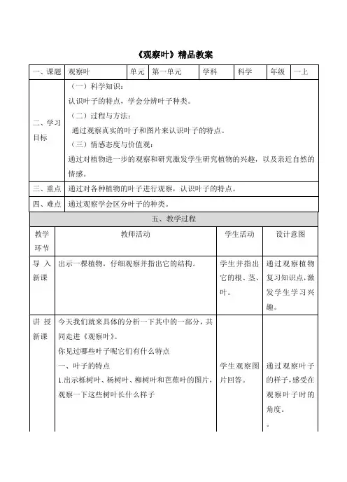《观察叶》精品教案
