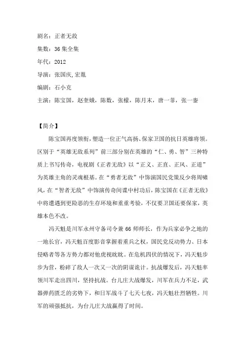 电视剧《正者无敌》剧情介绍