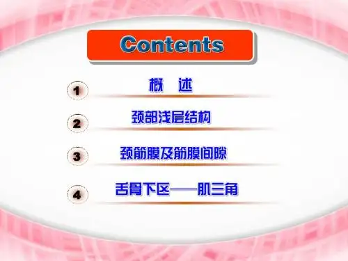 麻醉解剖学,局部解剖学必备知识点颈部