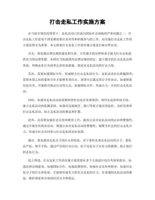 打击走私工作实施方案