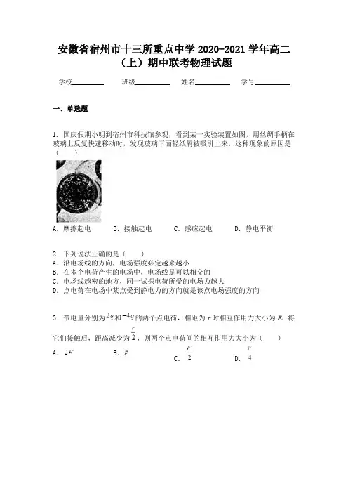 安徽省宿州市十三所重点中学2020-2021学年高二(上)期中联考物理试题