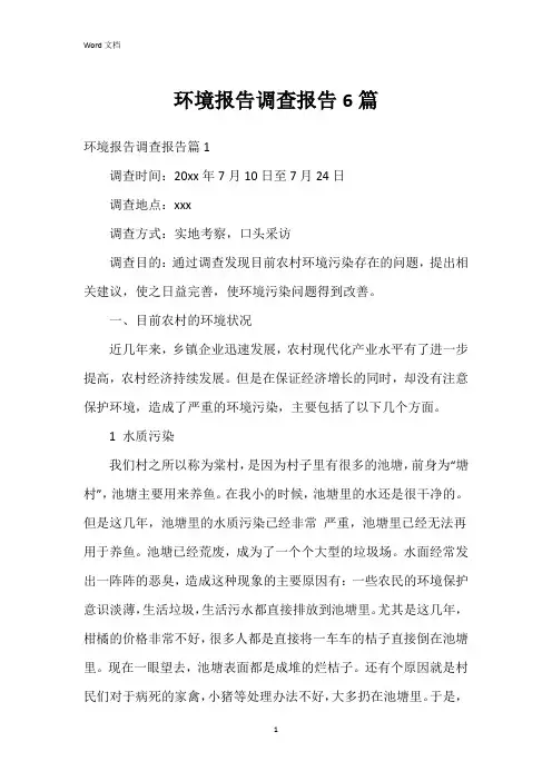环境报告调查报告6篇