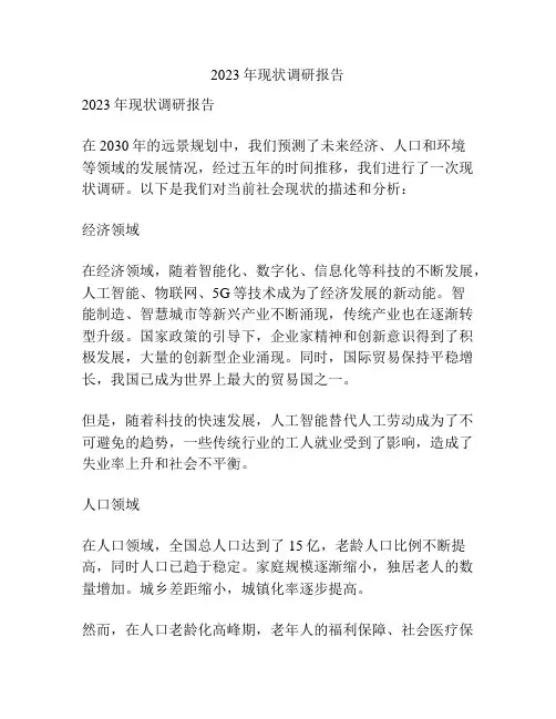 2023年现状调研报告