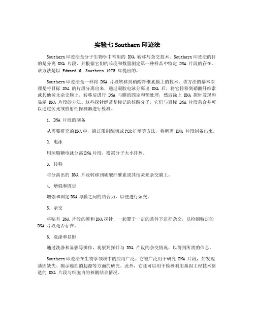实验七Southern印迹法