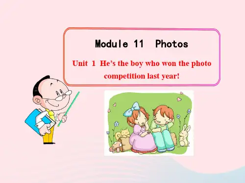九年级英语上册Module11 Unit1 教学课件新版外研版