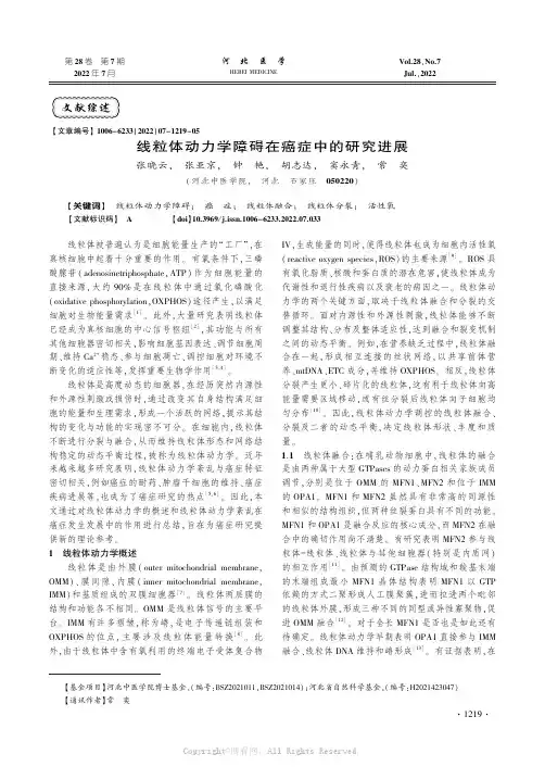 线粒体动力学障碍在癌症中的研究进展