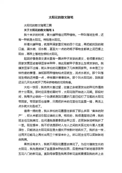 太阳花的散文随笔
